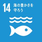 「サカナたちはなんでも 知ってるよ」