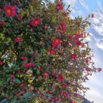 【ING昭島教室】先輩に続け！